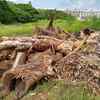 Article image for: Goa govt to collect dry waste from 450-plus educational institutions
