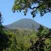 Article image for: Ugandan communities plant 4,053 trees to rebuild a wildlife buffer near Bwindi