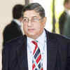Article image for: Trending photos of <i class="tbold">ashwin srinivasan</i> on TOI today