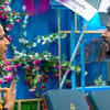 Season 6 – Inaya Sultana vs Srihan