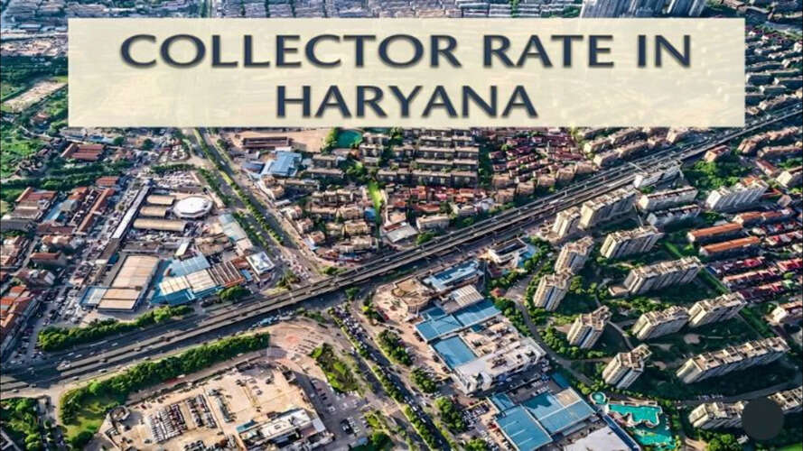 Collector Rate In Haryana 2026-27: A Comprehensive City-Wise Guide To Calculating Property Circle Rates