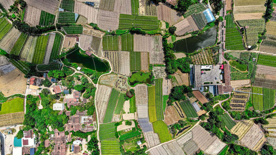 Land Use and Zoning Laws in Haryana - What You Must Know Before Buying a Plot