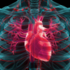 Heart disease can develop without obvious symptoms: Cardiologists ...