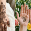 Paisleys and leaves