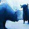Article image for: Sensex up over 250 points; Nifty rallies past 4900
