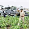 Article image for: Nine IAF personnel killed in Gujarat choppers crash
