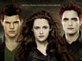 'Twilight- Breaking Dawn Part 2'