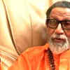 Article image for: Balasaheb responding well to treatment: Shiv Sena MP