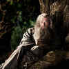 Article image for: '<i class="tbold">the hobbit</i>: An Unexpected Journey'