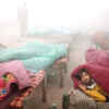 Article image for: <i class="tbold">cold wave</i> grips North India, disrupts daily life