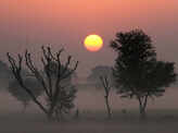 North India under grip of cold wave