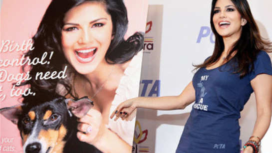 Sunny Leone to receive PETA's person of the year award | Hindi Movie News -  Times of India