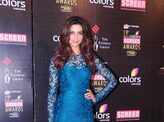 19th Annual Screen Awards 2013