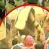 Article image for: Orissa: <i class="tbold">eviction drive</i> turns violent; police lathicharge women, children
