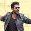 Article image for: Any Body Can Dance (ABCD): Public review