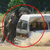 Article image for: Caught on cam: Angry elephant crushes a van