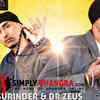 Article image for: Saini Surinder ft. <i class="tbold">Dr Zeus</i> - Rendeh