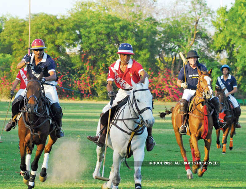 Horsing around in the sun