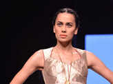 IIJW '13: Rosily Paul