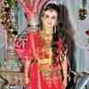 Article image for: <i class="tbold">Salauddin</i> & Sameera's walima ceremony