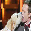 Article image for: Watch: Memorable, fun moments at <i class="tbold">tony award</i>s 2013