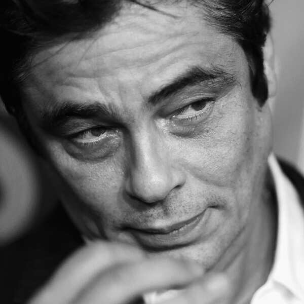Benicio Del Toro Wallpapers