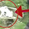 Article image for: Rescue <i class="tbold">chopper crash</i>es in Uttarakhand, no casualties