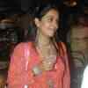 Article image for: New pictures of <i class="tbold">jadoo</i>