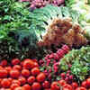 Article image for: August WPI rises to 6.1%, food inflation at 18.18%