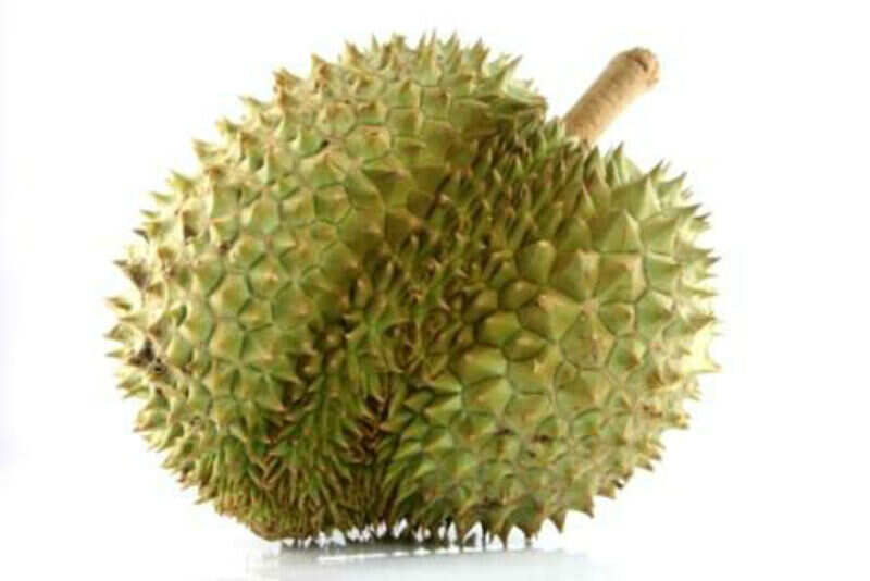durianl