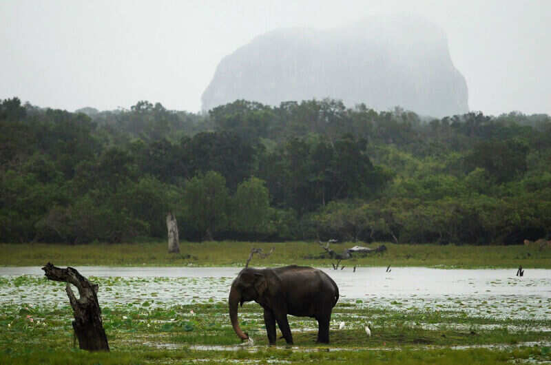 Destination Review: Sri Lanka