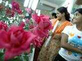 Rose exhibition
