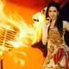 Article image for: <i class="tbold">nikita anand</i>