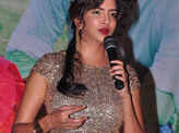 Writer audio launch