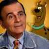 Article image for: 'Ailing <i class="tbold">Casey Kasem</i> nearing death'