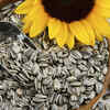 Top 7 foods that lower blood pressure