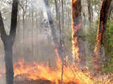 Bushfires worsen in Australia
