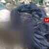 Article image for: LeT terrorist gunned down in Shopian encounter