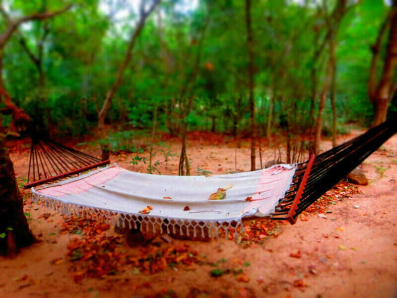 Get off the beaten path at Galkadawala