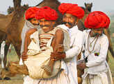 Annual Cattle Fair in Pushkar