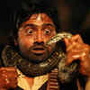 Article image for: Check out our latest images of <i class="tbold">chander pahar</i>
