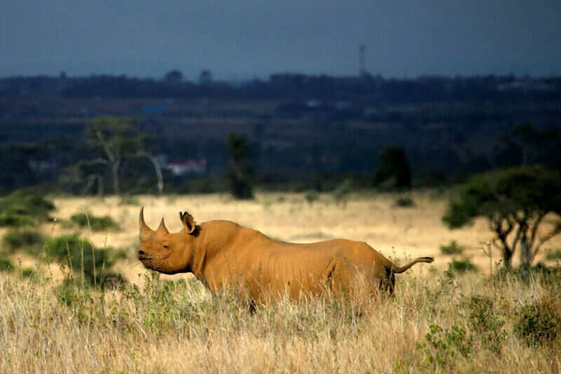 India's 7 best safari spots