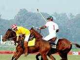 Exhibition Polo match