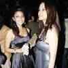 Article image for: New pictures of <i class="tbold">celebrity guest</i>