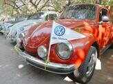 Beetle Car Rally 