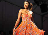 IRFW'13: Surily Goel