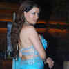 Article image for: Strings of Passion: Music Launch