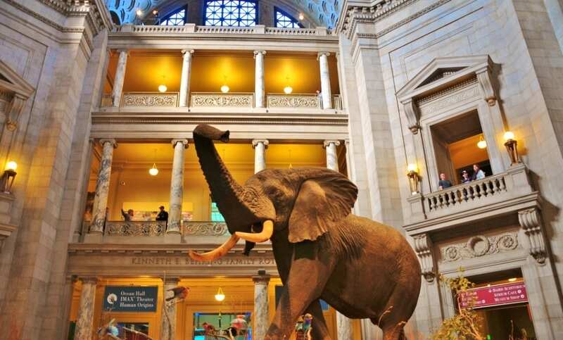 National Museum of Natural History