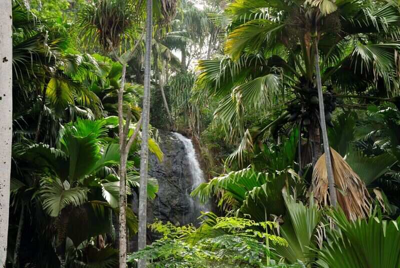 Photo Courtesy - Seychelles Tourism  Board