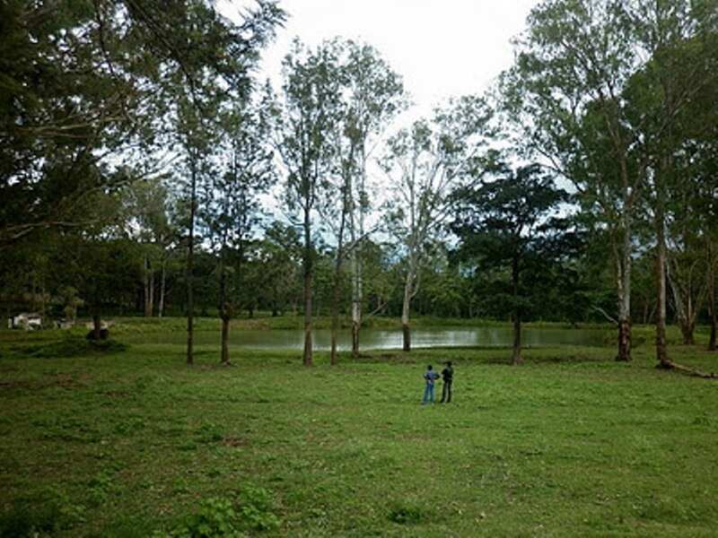 P1020124